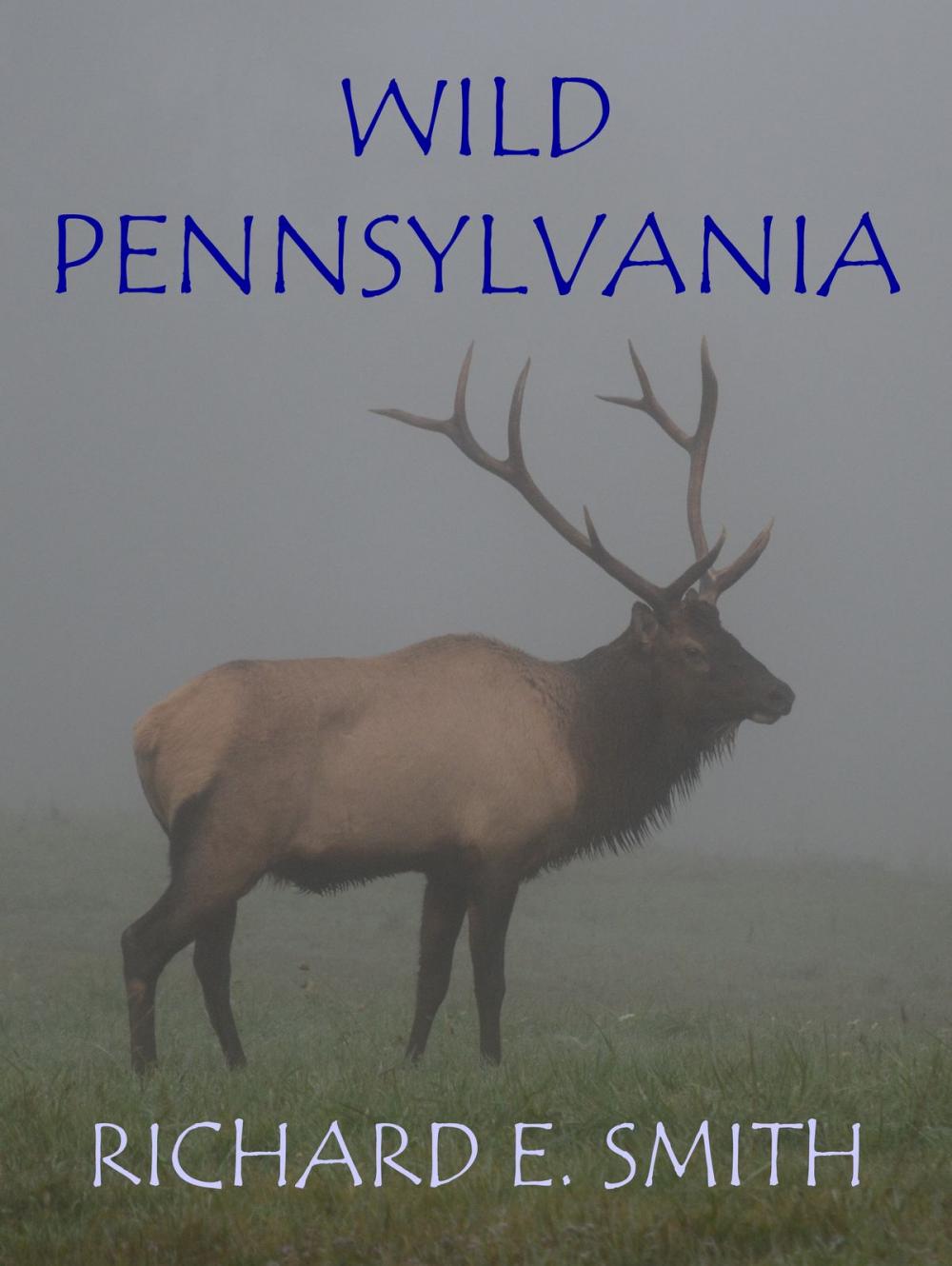 Big bigCover of Wild Pennsylvania