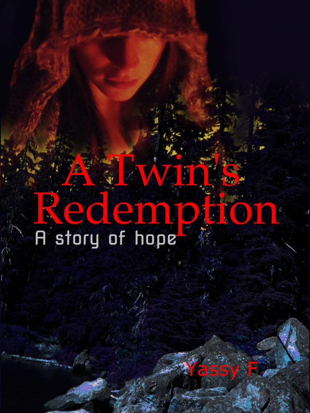 Big bigCover of A Twin's Redemption