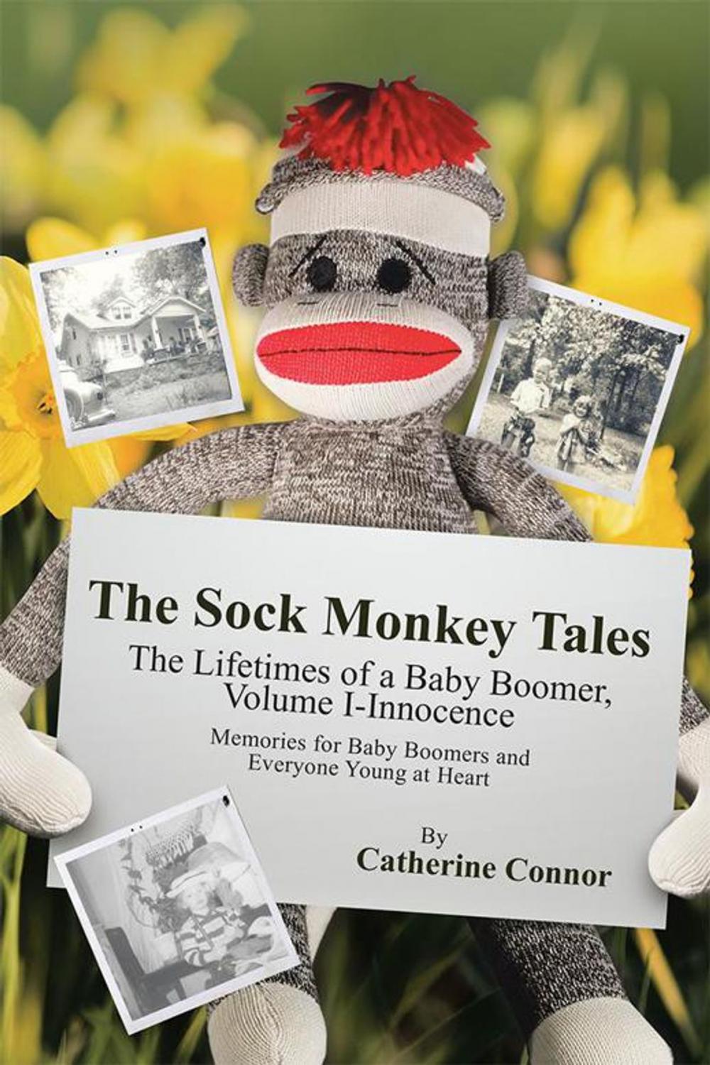 Big bigCover of The Sock Monkey Tales