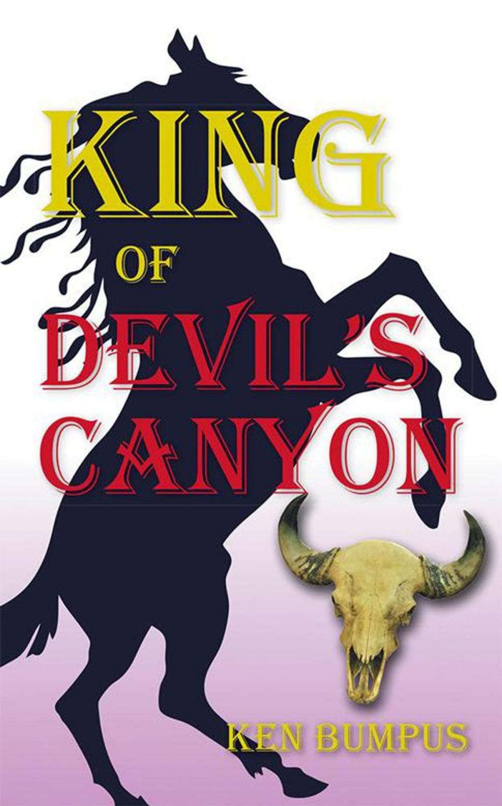 Big bigCover of King of Devil's Canyon