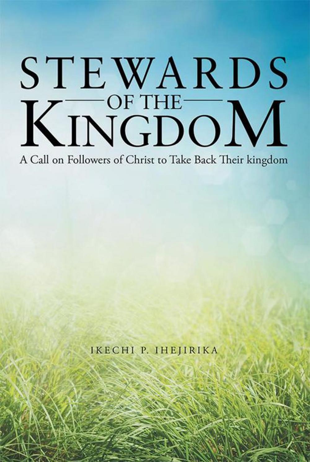 Big bigCover of Stewards of the Kingdom