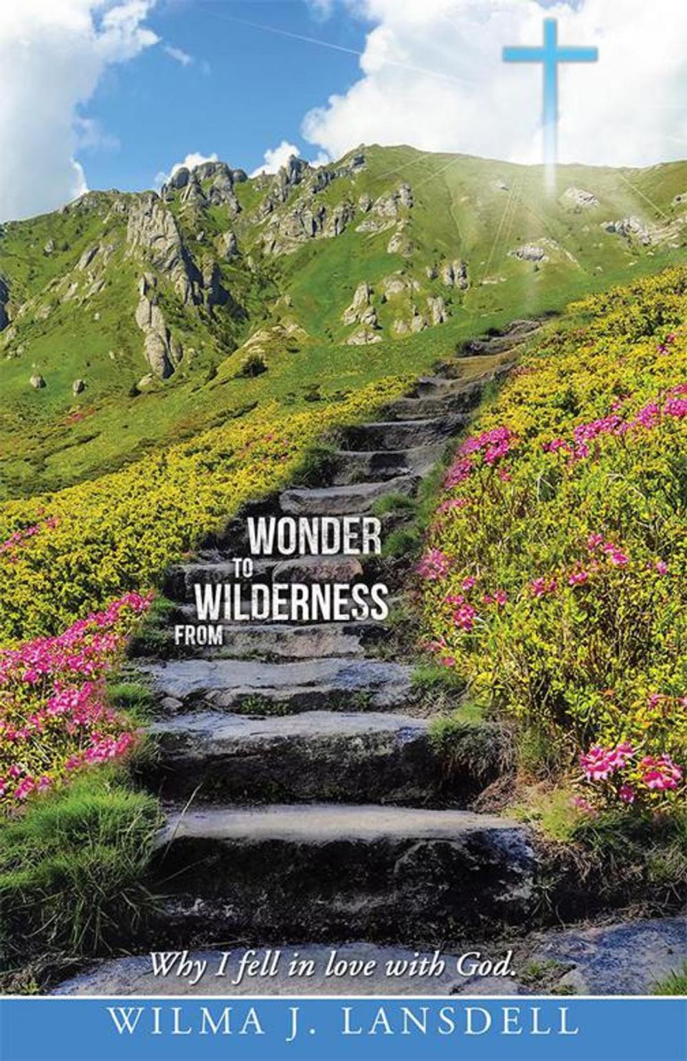 Big bigCover of From Wilderness to Wonder