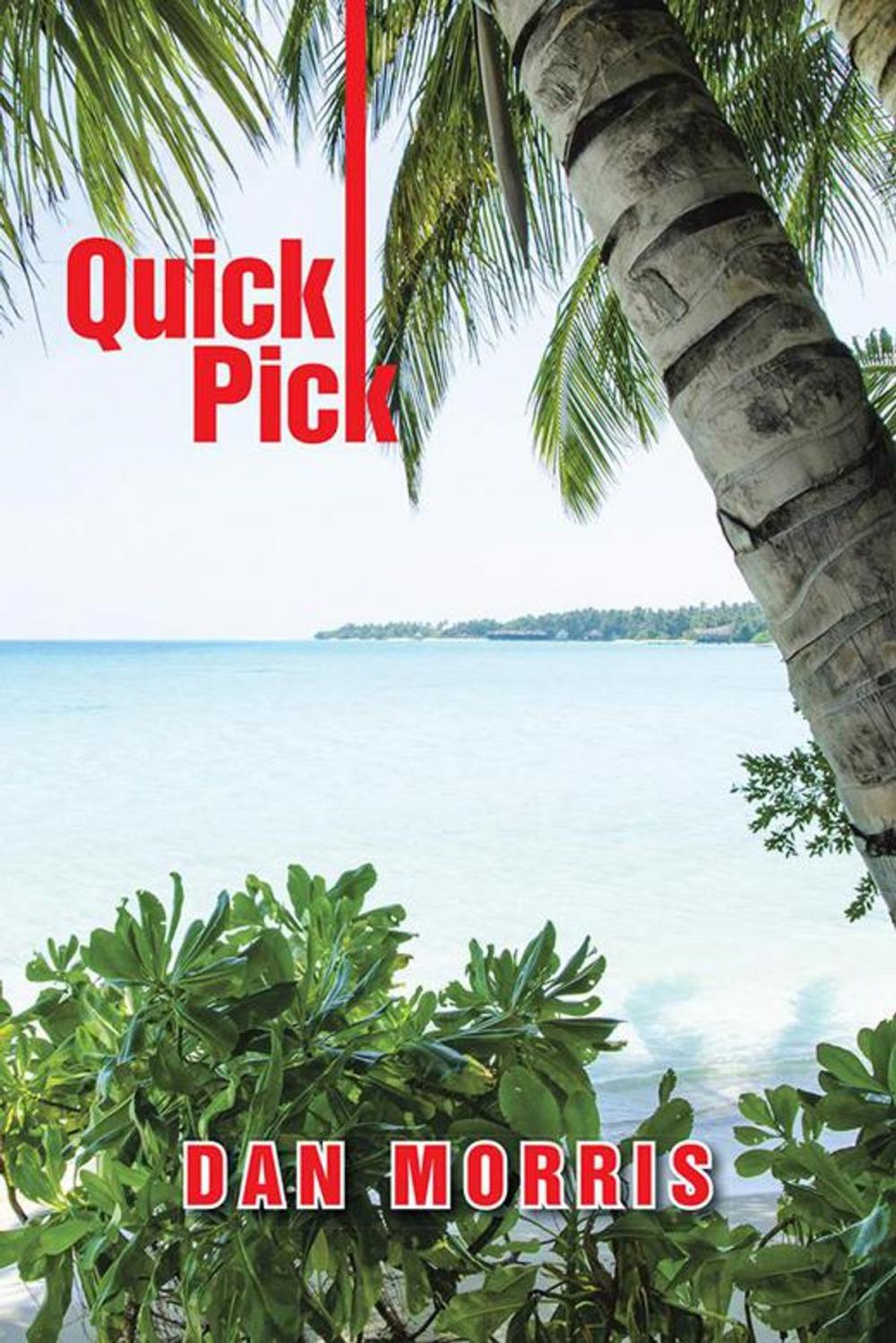 Big bigCover of Quick Pick