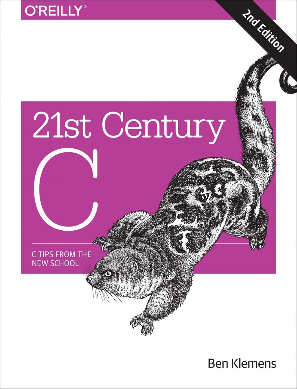 Big bigCover of 21st Century C