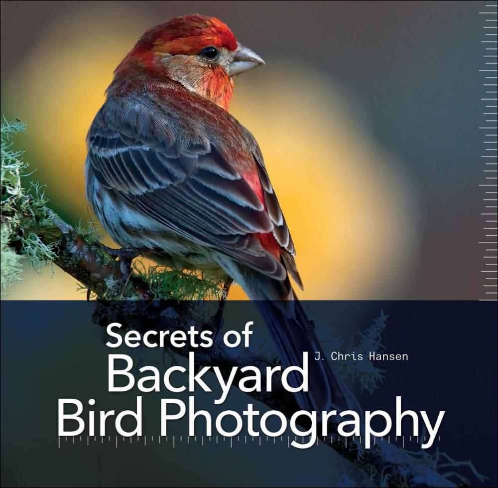 Big bigCover of Secrets of Backyard Bird Photography