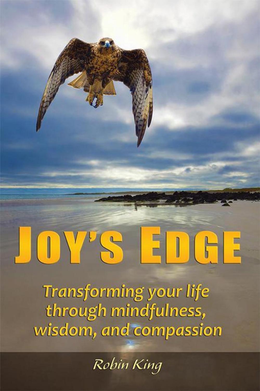 Big bigCover of Joy’S Edge