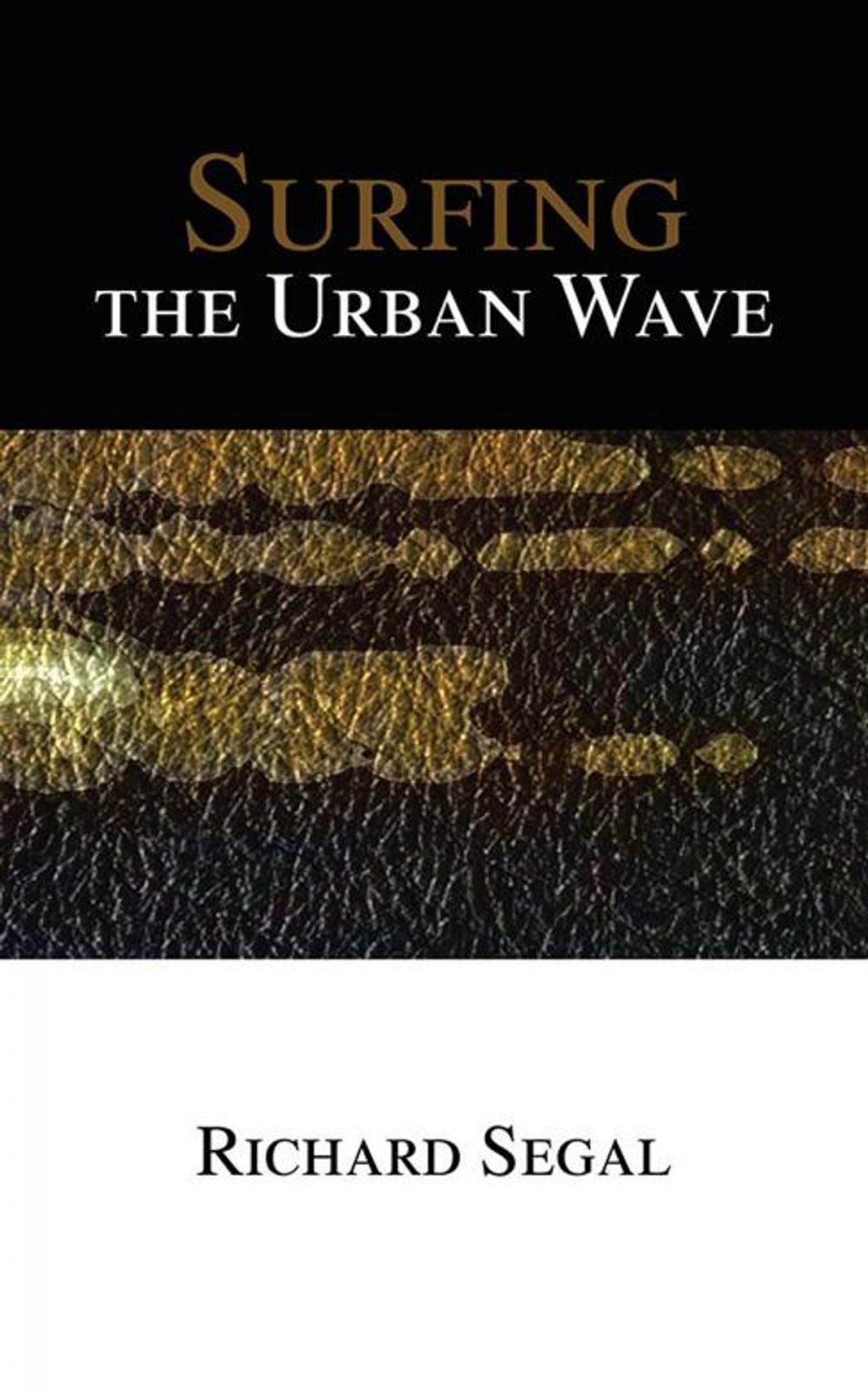 Big bigCover of Surfing the Urban Wave