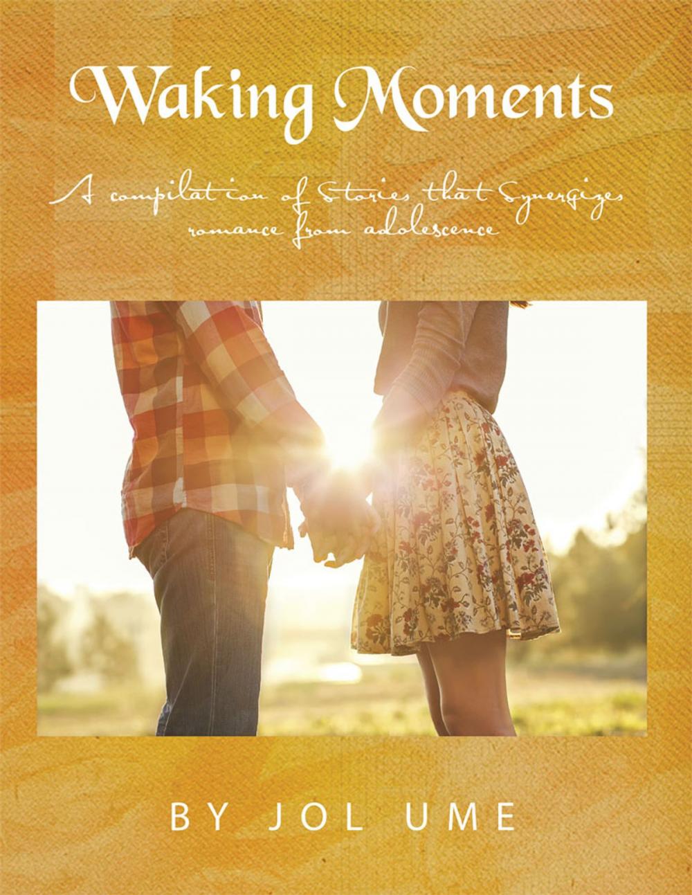 Big bigCover of Waking Moments