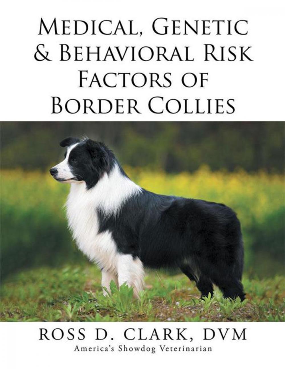 Big bigCover of Medical, Genetic & Behavioral Risk Factors of Border Collies