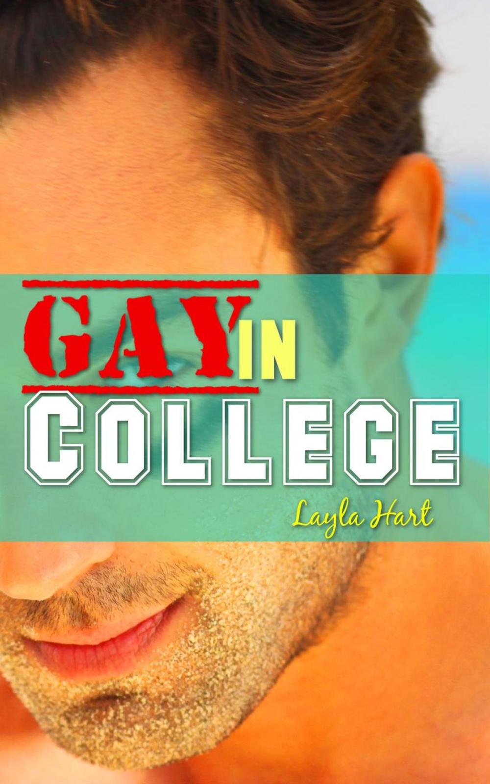 Big bigCover of Gay in College Bundle