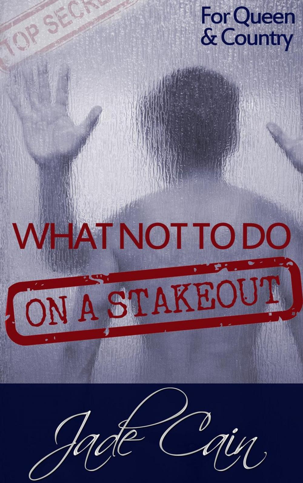 Big bigCover of What Not to Do on a Stakeout