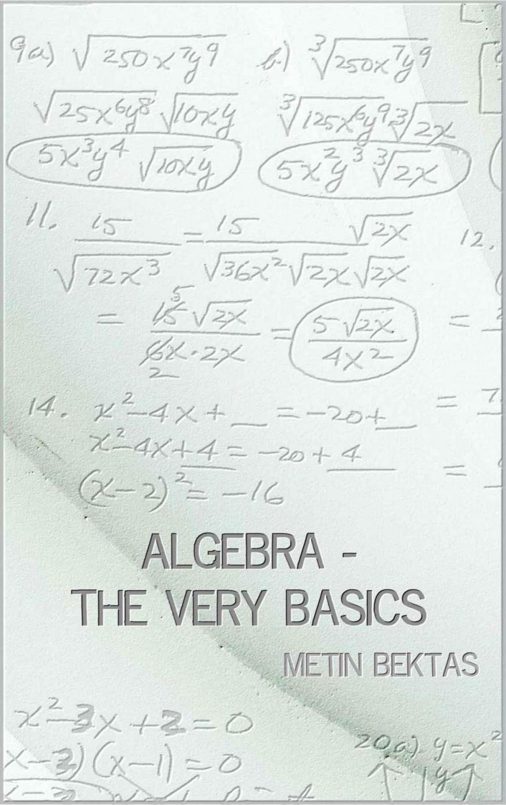 Big bigCover of Algebra - The Very Basics