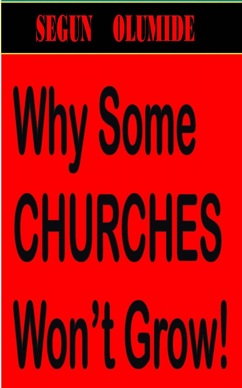 Big bigCover of Why Some Churches Won't Grow!