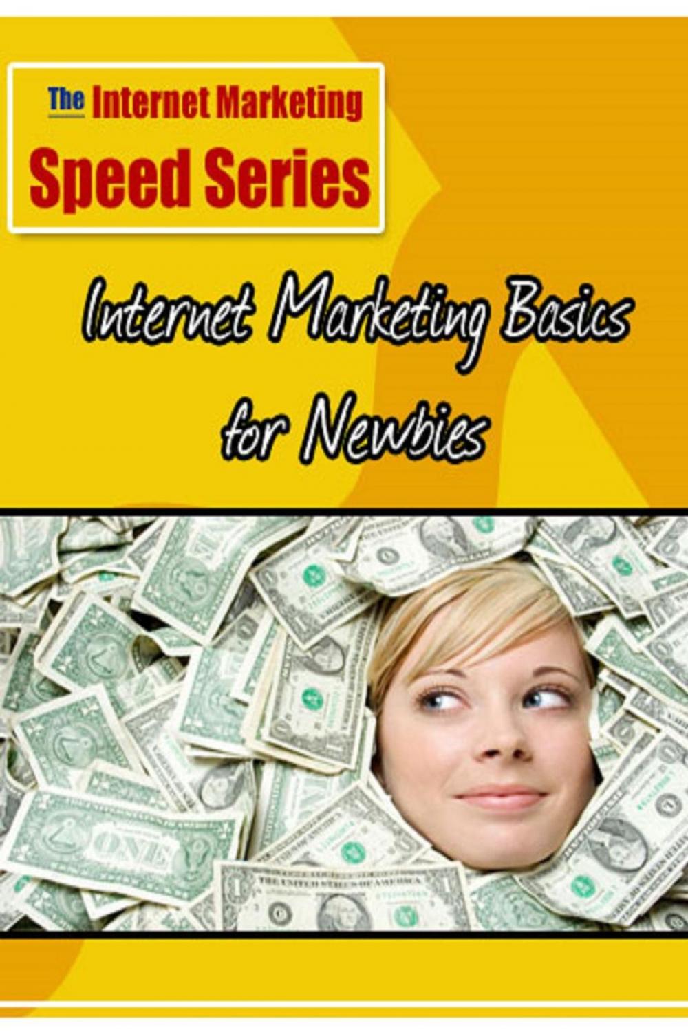 Big bigCover of The Basics Of Internet Marketing