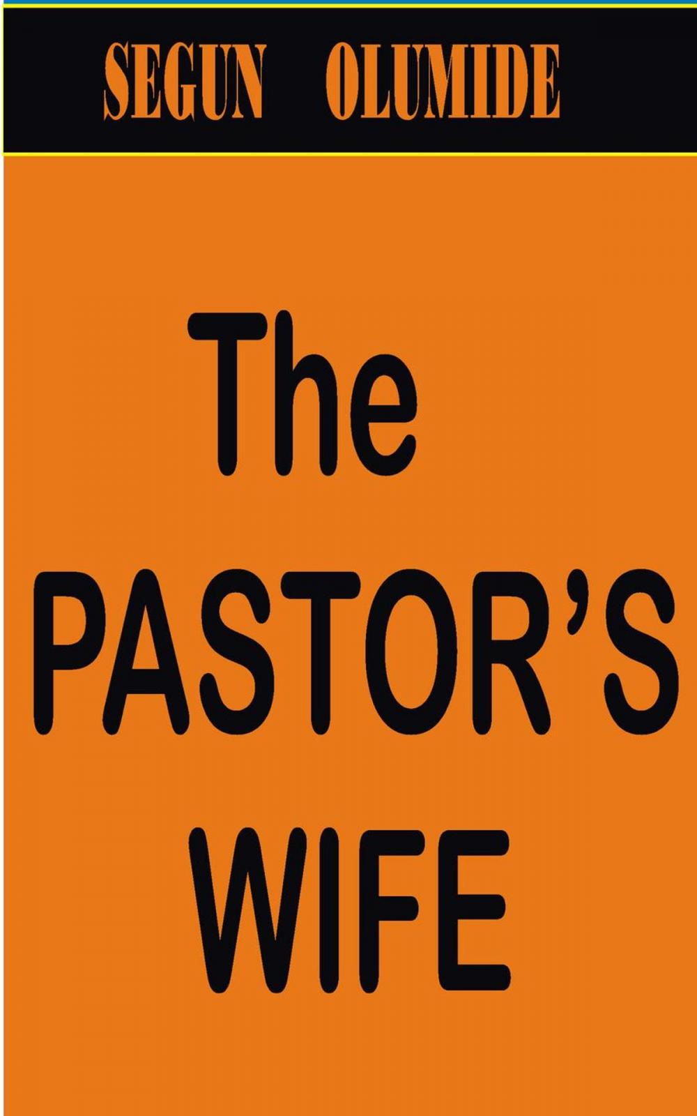 Big bigCover of The Pastor's Wife