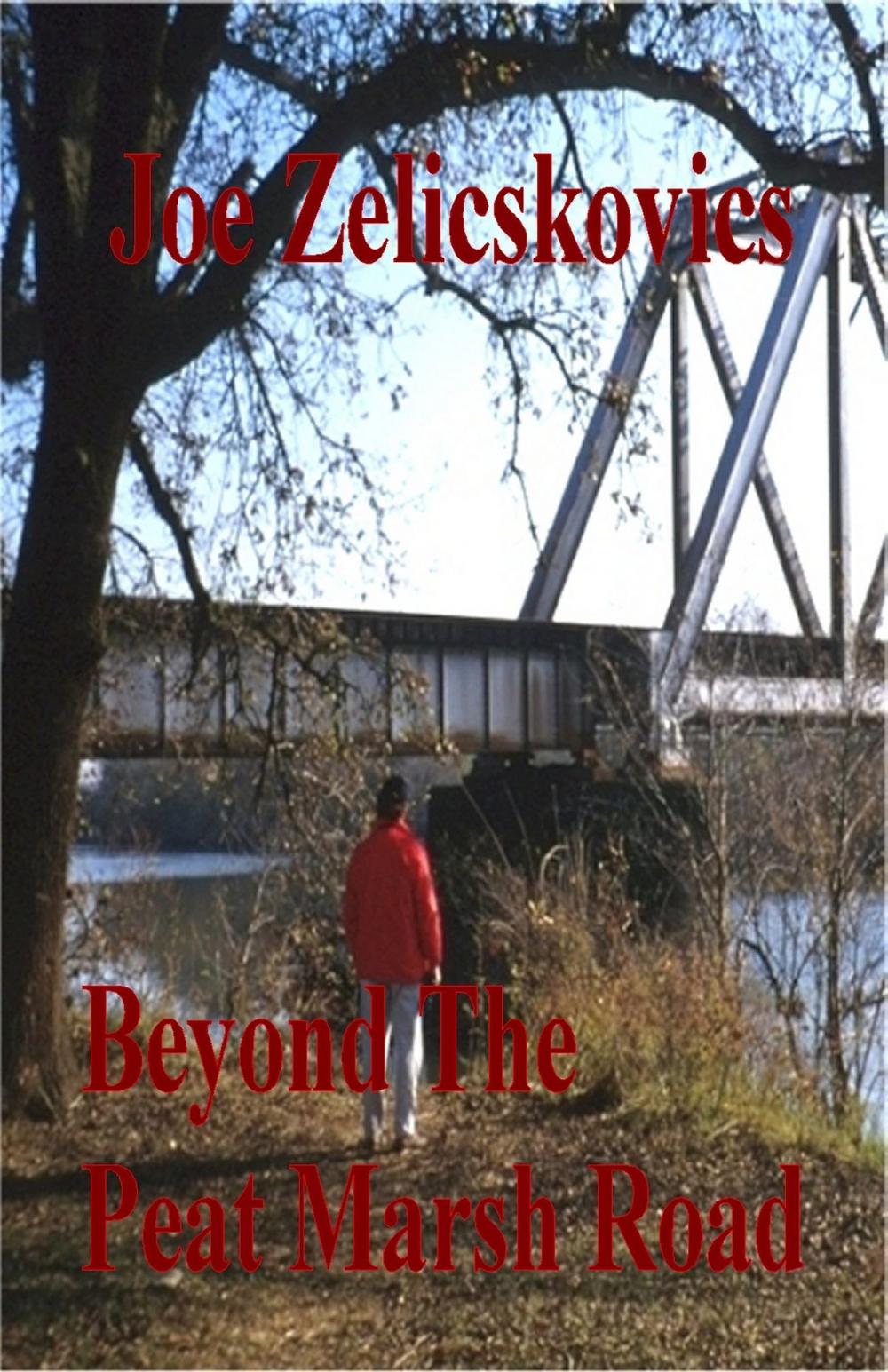 Big bigCover of Beyond The Peat Marsh Road