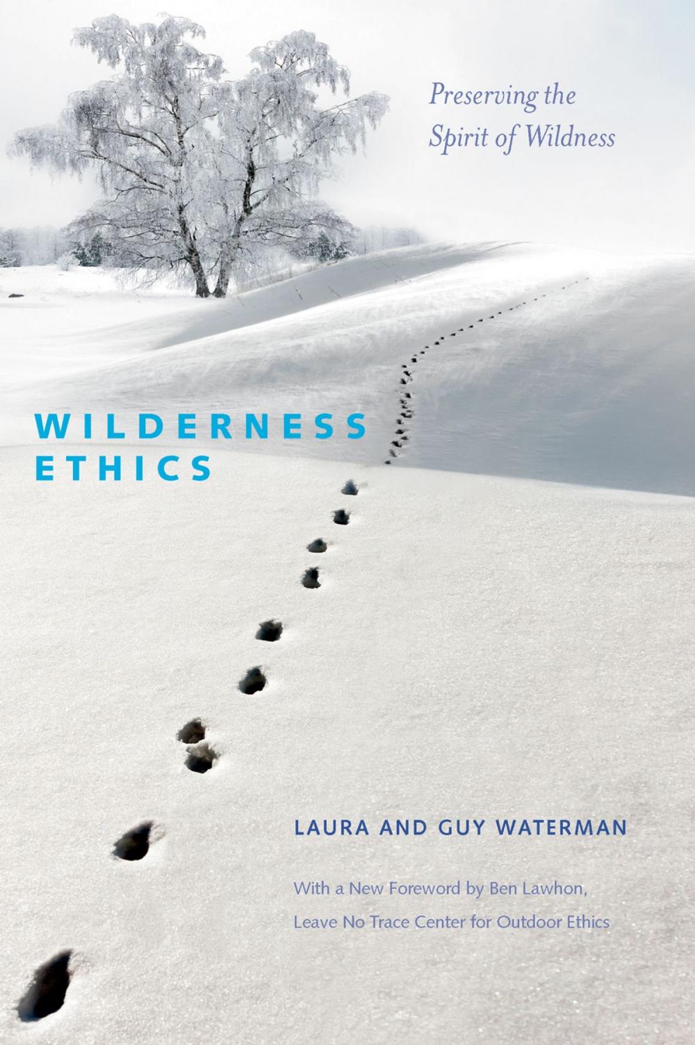 Big bigCover of Wilderness Ethics: Preserving the Spirit of Wildness