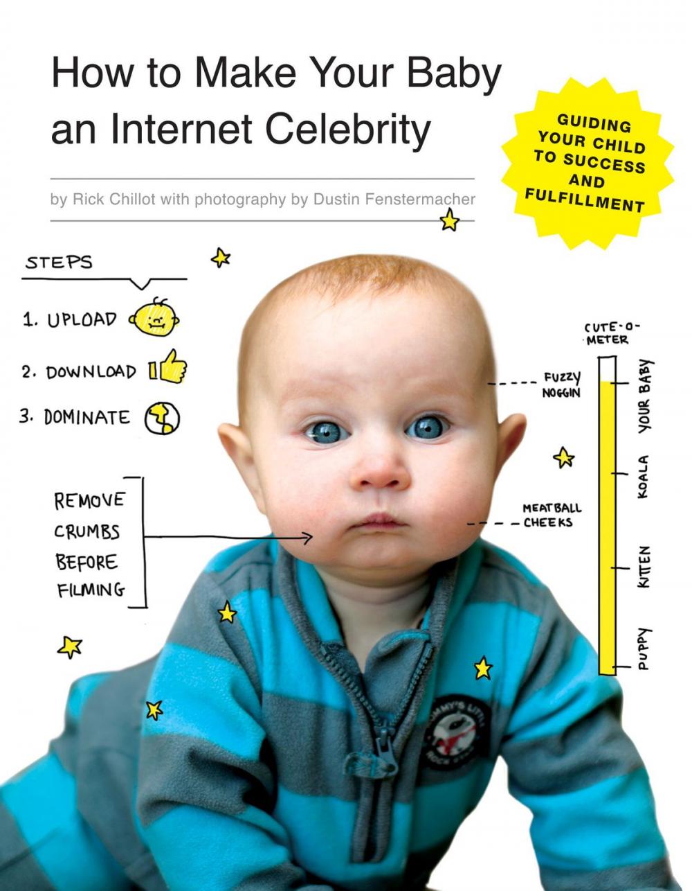 Big bigCover of How to Make Your Baby an Internet Celebrity