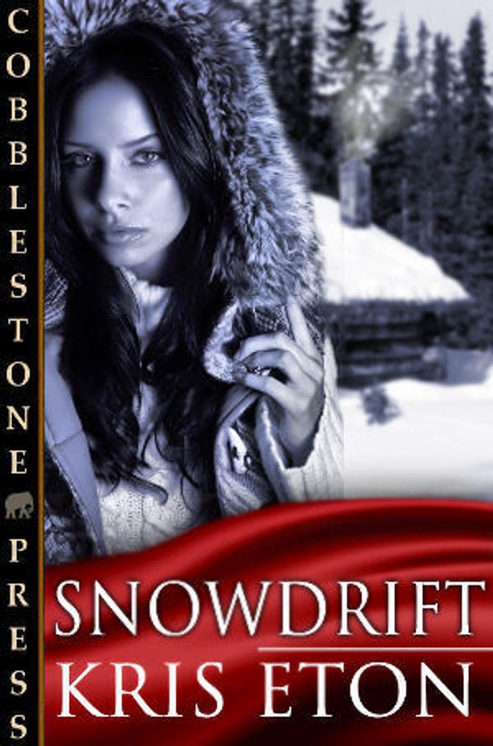 Big bigCover of Snowdrift