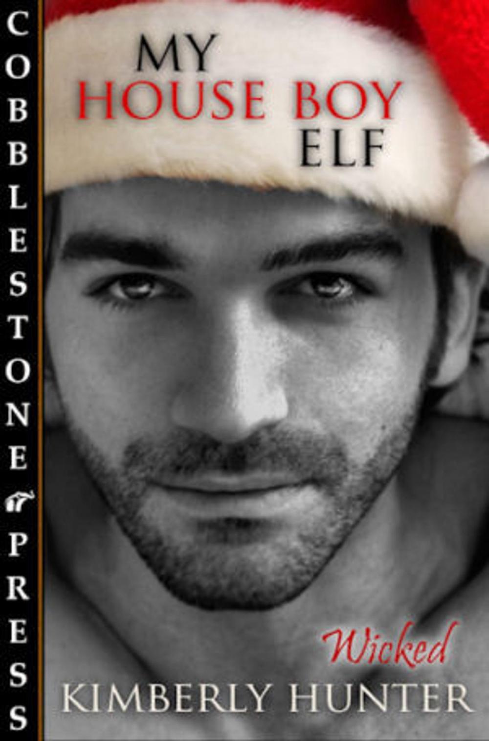 Big bigCover of My House Boy Elf