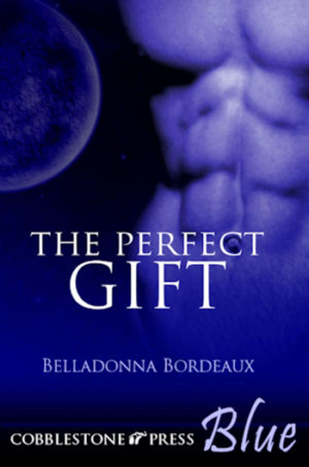 Big bigCover of The Perfect Gift