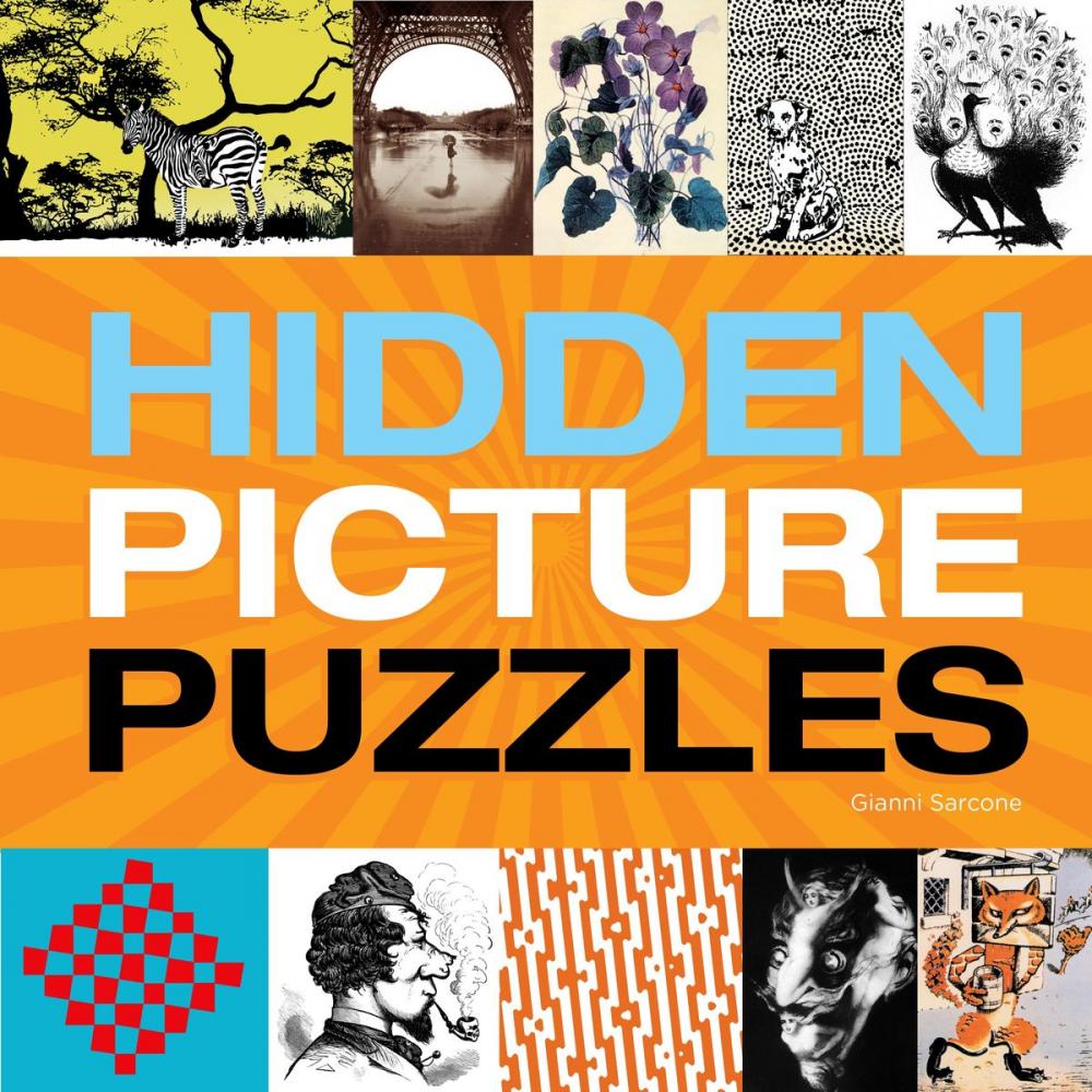 Big bigCover of Hidden Picture Puzzles