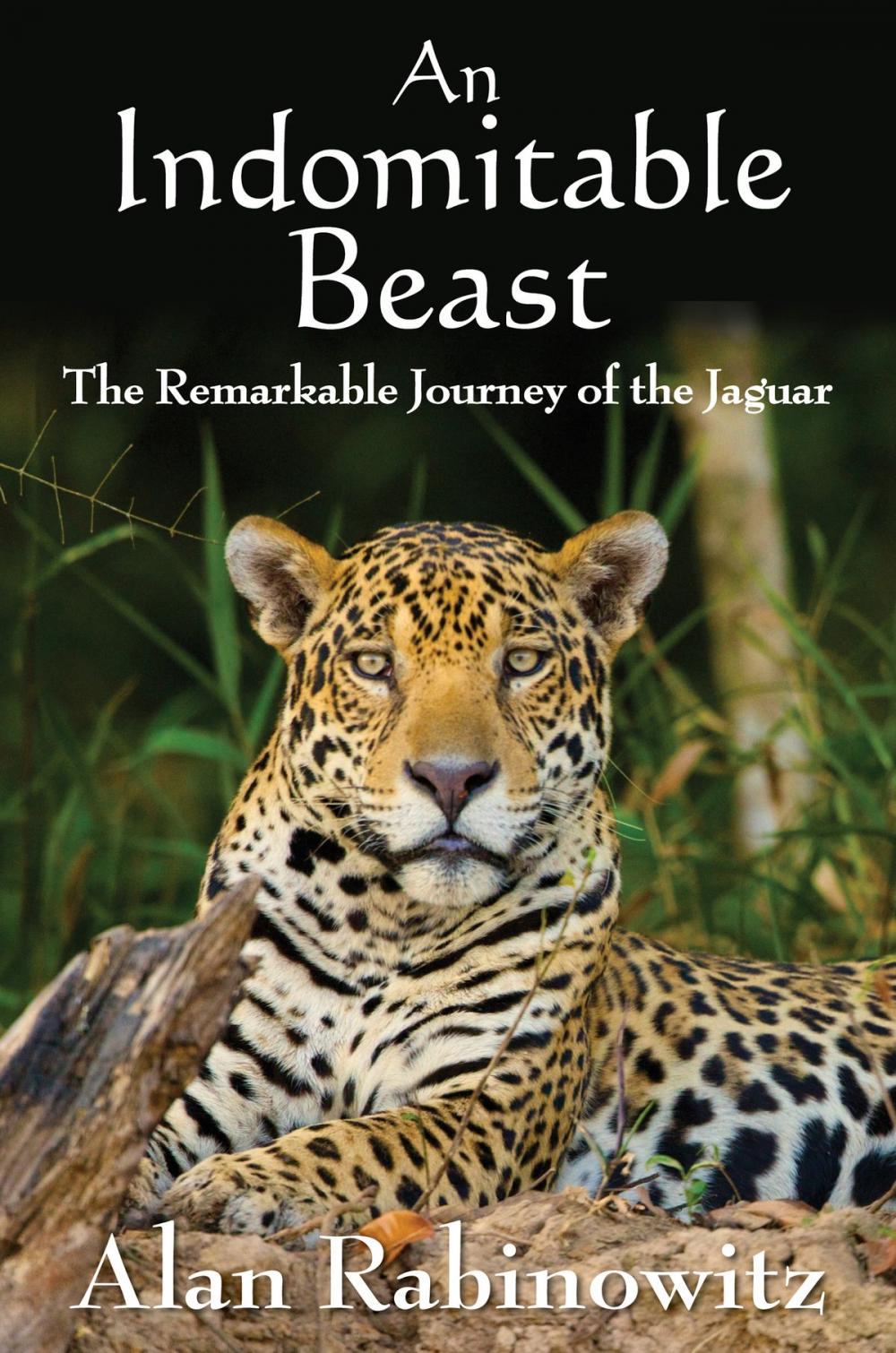 Big bigCover of An Indomitable Beast