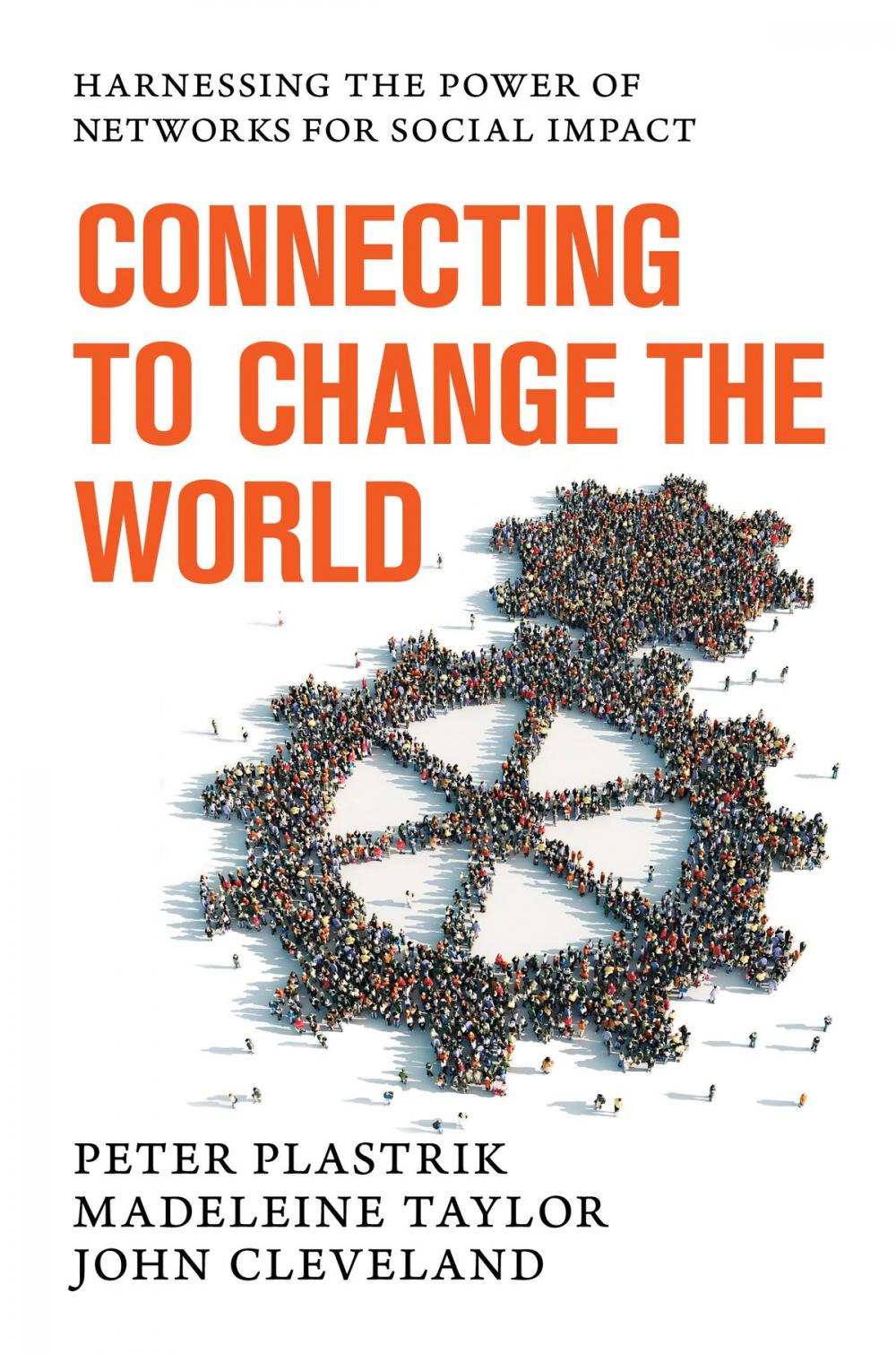 Big bigCover of Connecting to Change the World