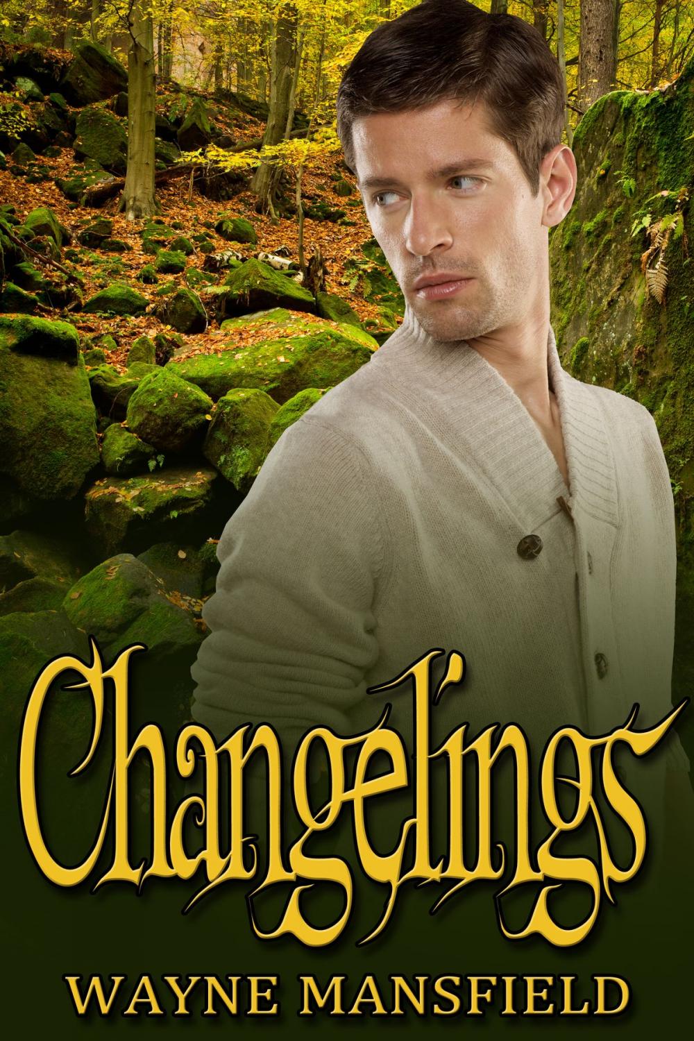 Big bigCover of Changelings