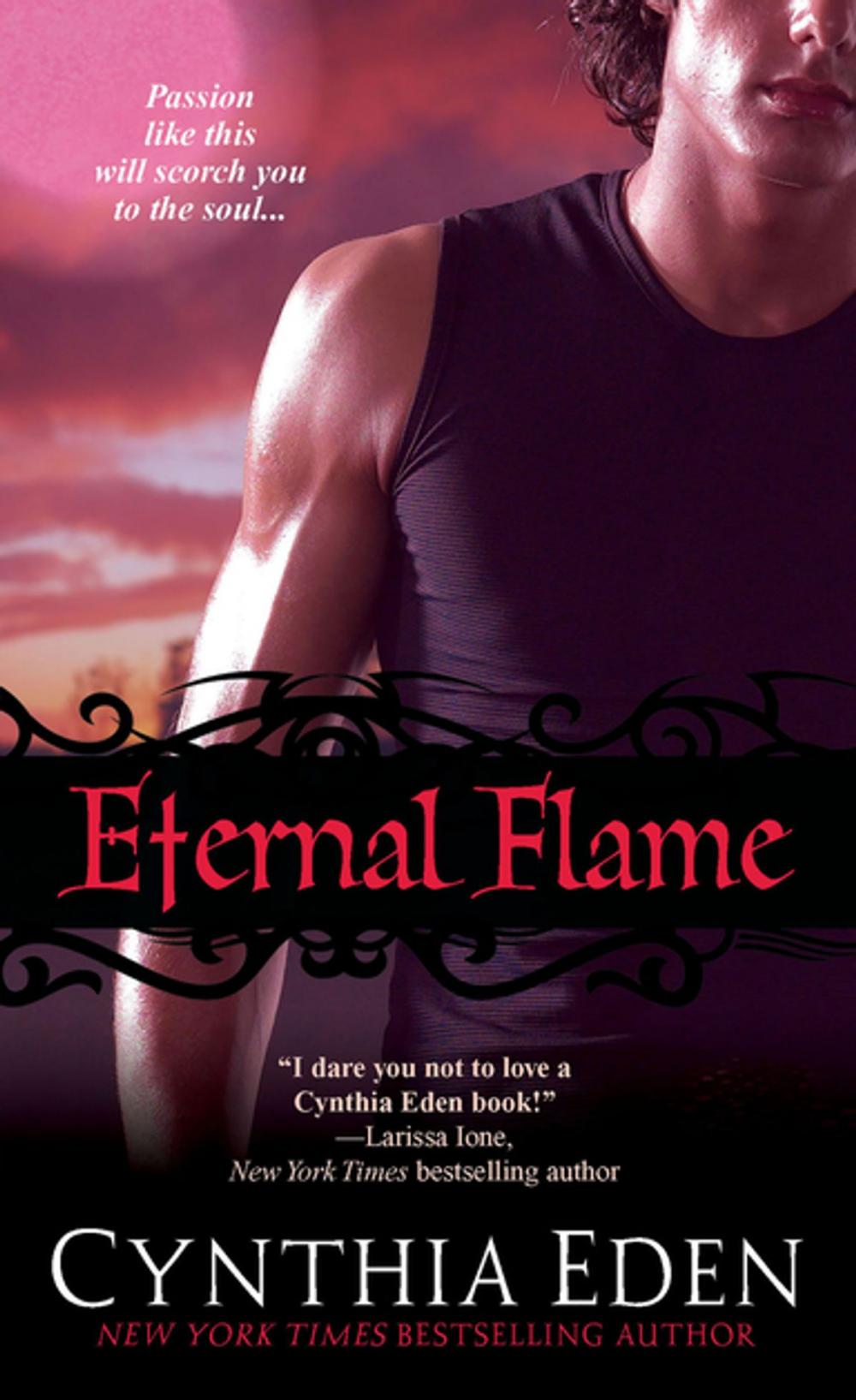 Big bigCover of Eternal Flame