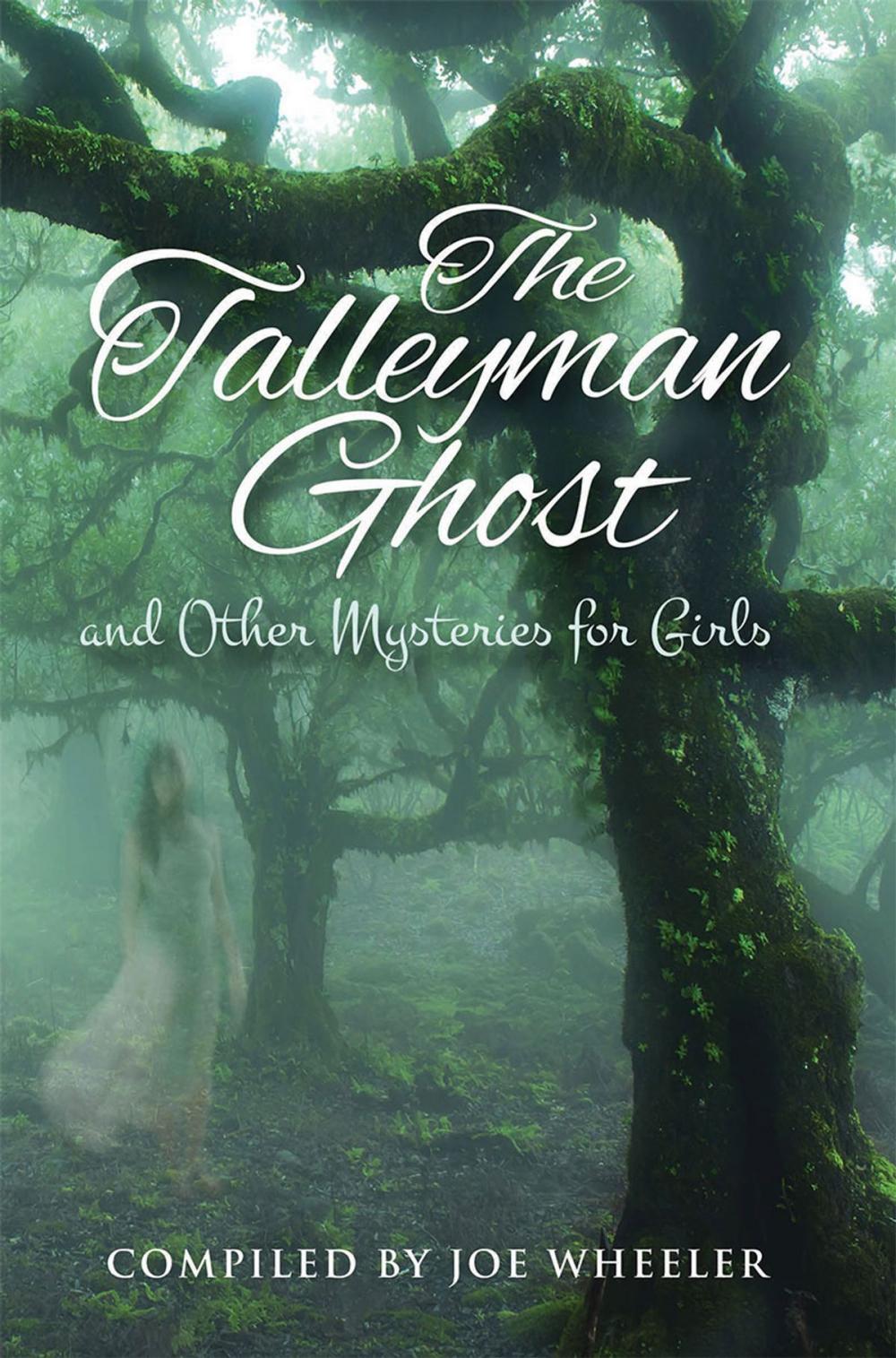 Big bigCover of The Talleyman Ghost and Other Mysteries for Girls