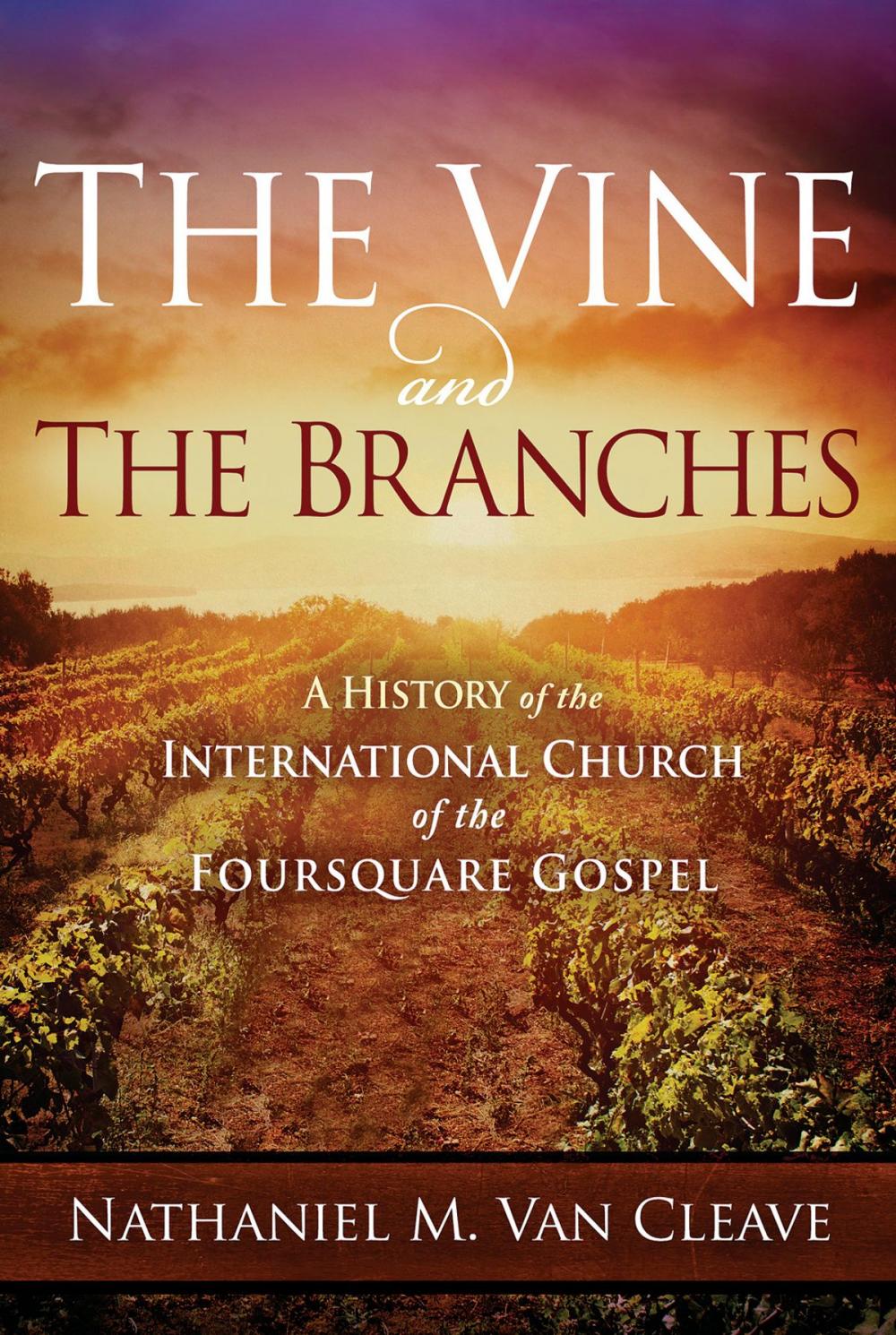 Big bigCover of The Vine and the Branches