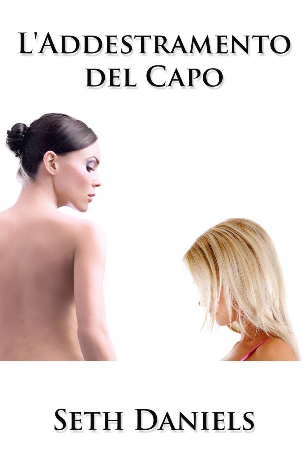 Big bigCover of L'Addestramento del Capo