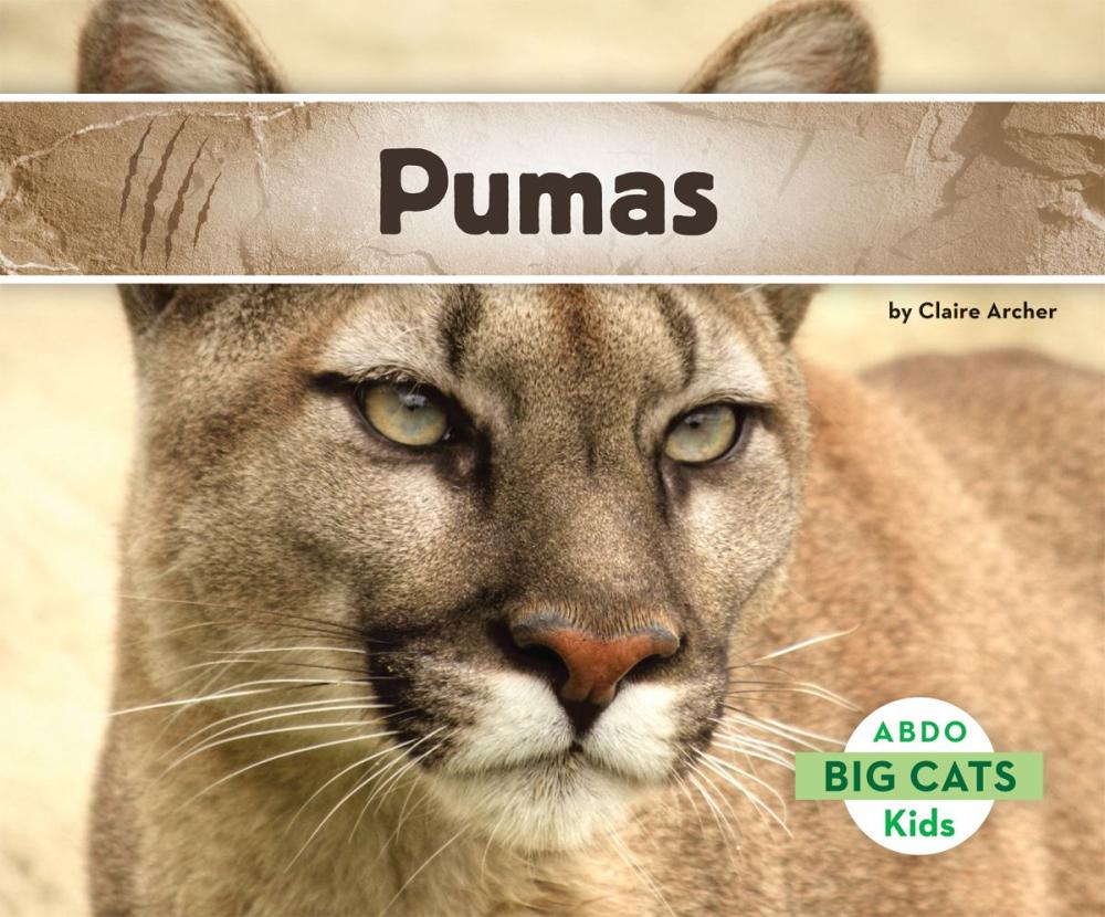 Big bigCover of Pumas