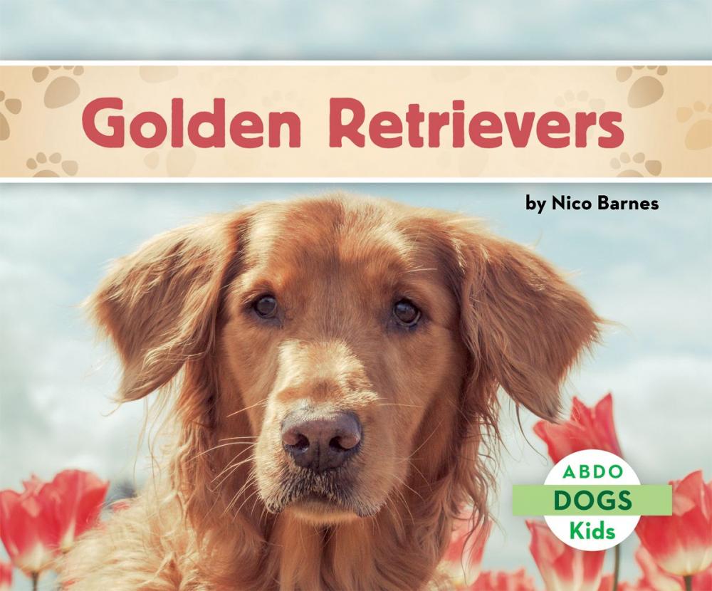 Big bigCover of Golden Retrievers