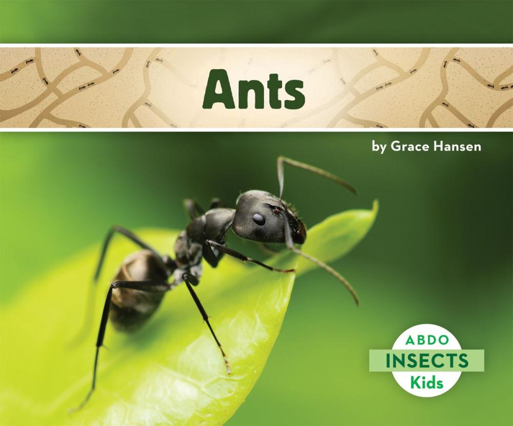 Big bigCover of Ants