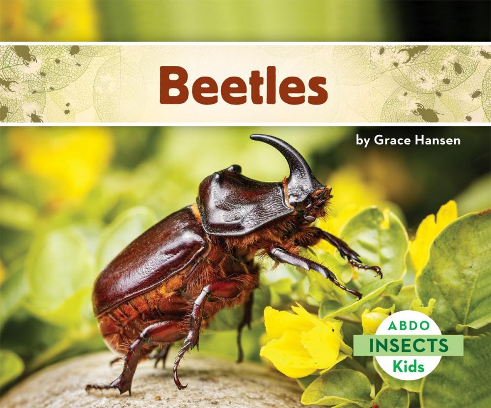 Big bigCover of Beetles