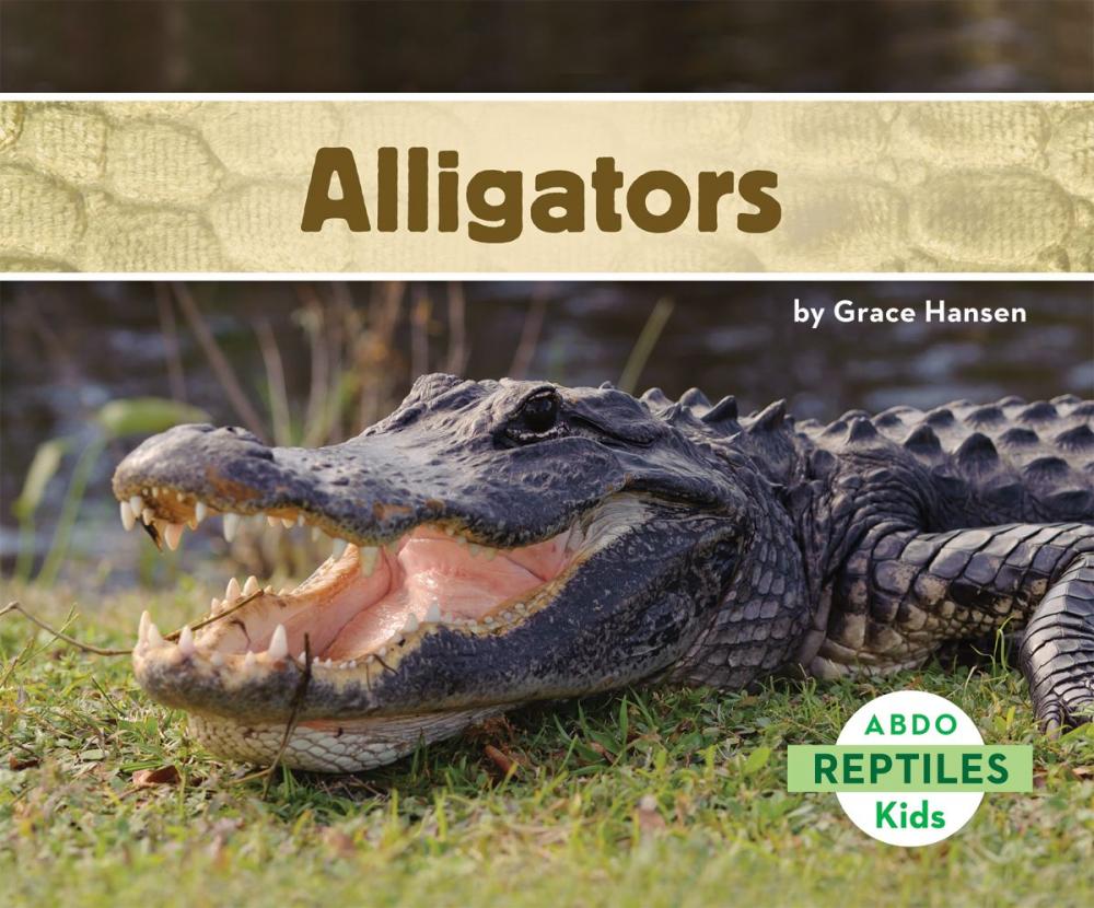 Big bigCover of Alligators