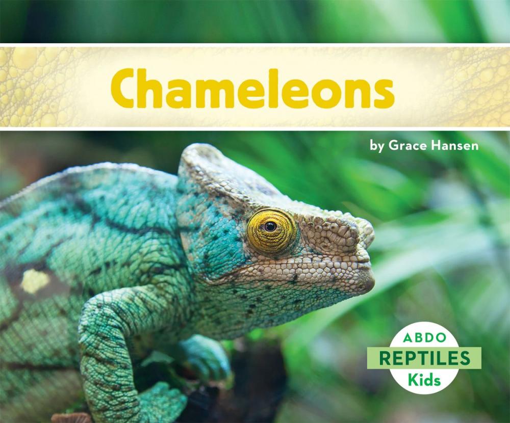 Big bigCover of Chameleons