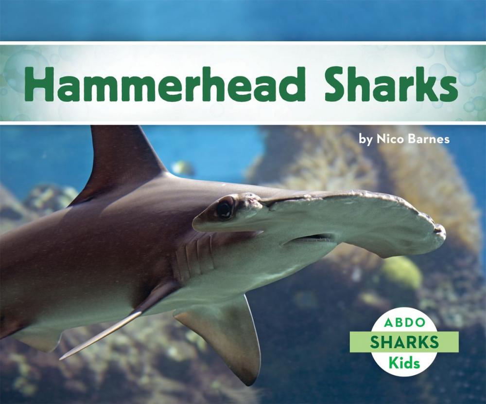 Big bigCover of Hammerhead Sharks