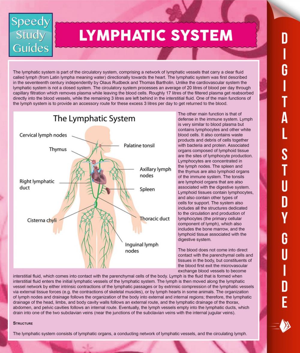 Big bigCover of Lymphatic System