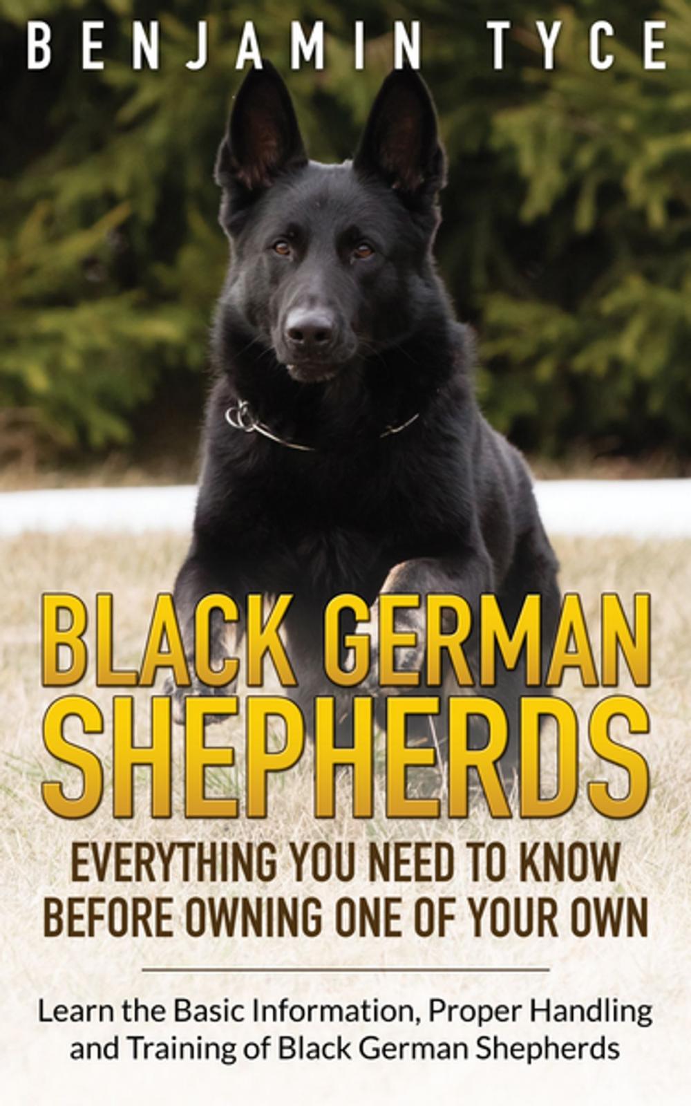 Big bigCover of Black German Shepherds: Everything You Need To Know Before Owning One of Your Own