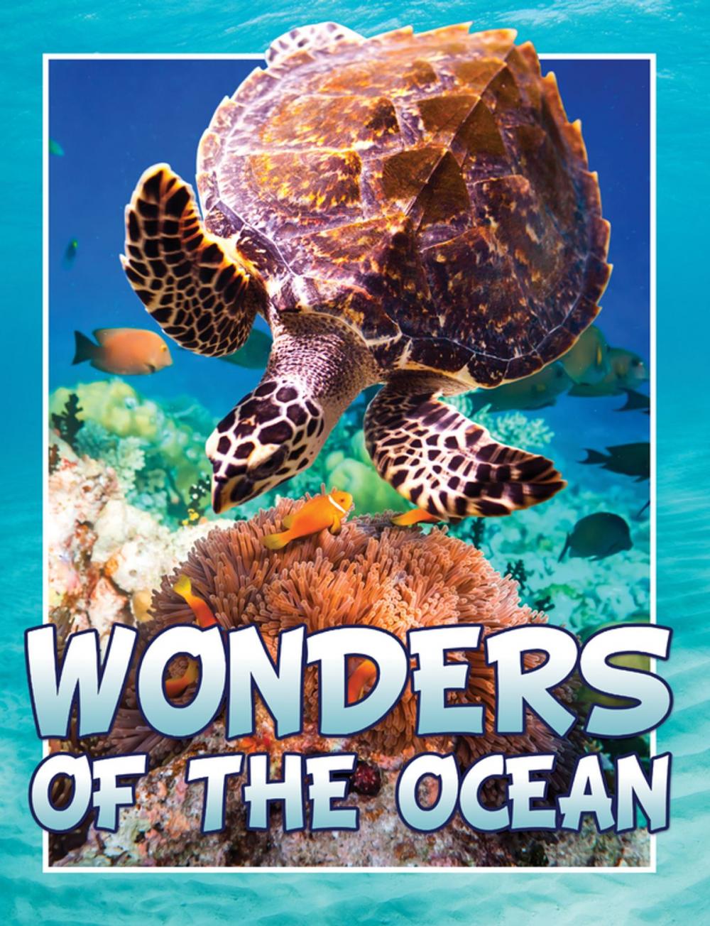 Big bigCover of Wonders Of The Ocean