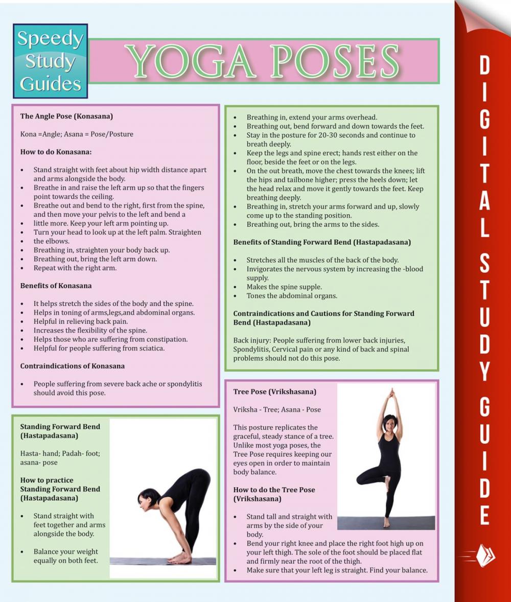 Big bigCover of Yoga Poses