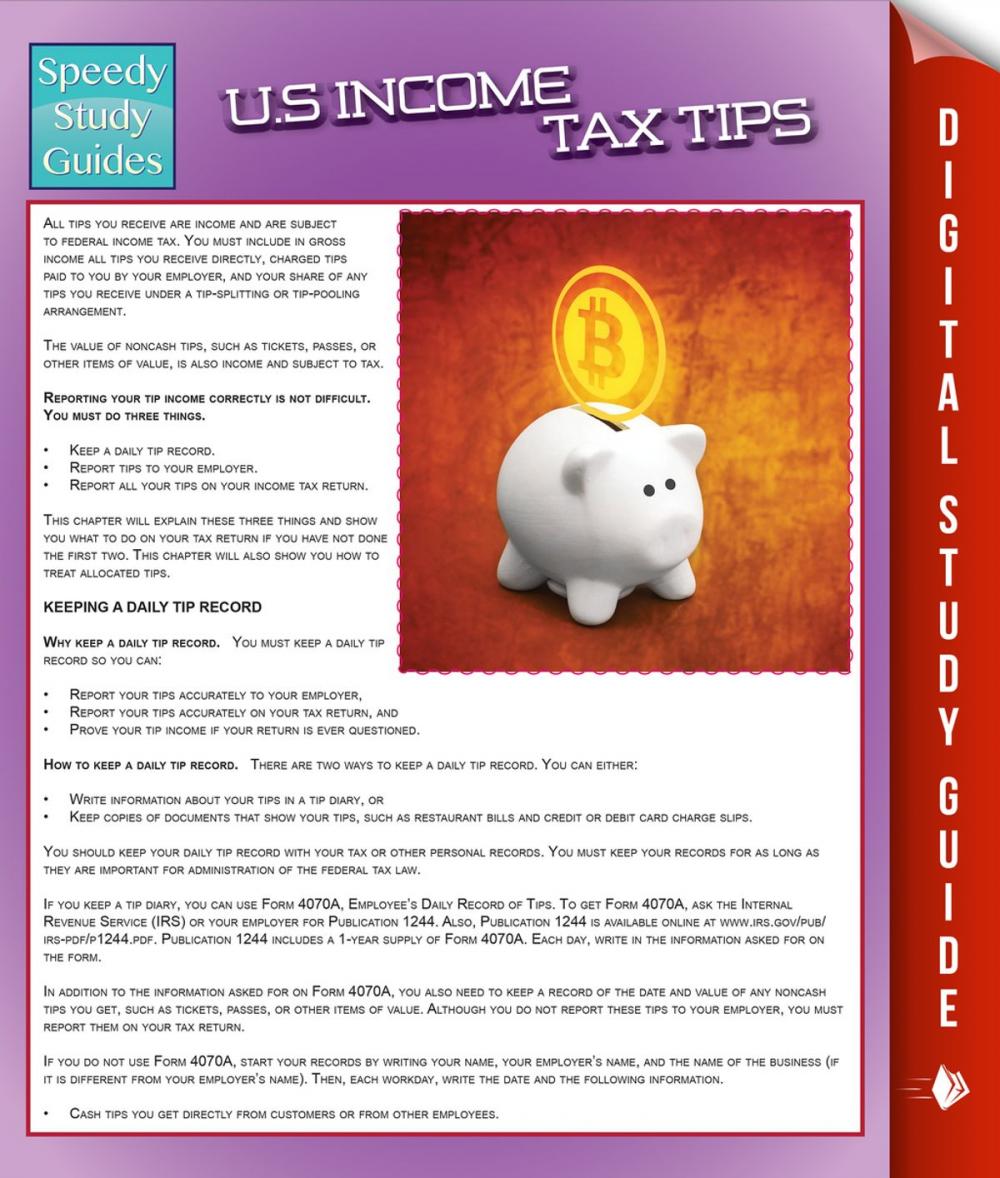 Big bigCover of US Income Tax Tips