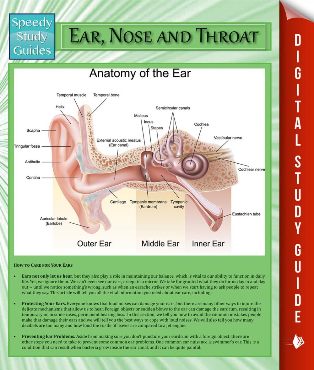 Big bigCover of Ear, Nose and Throat