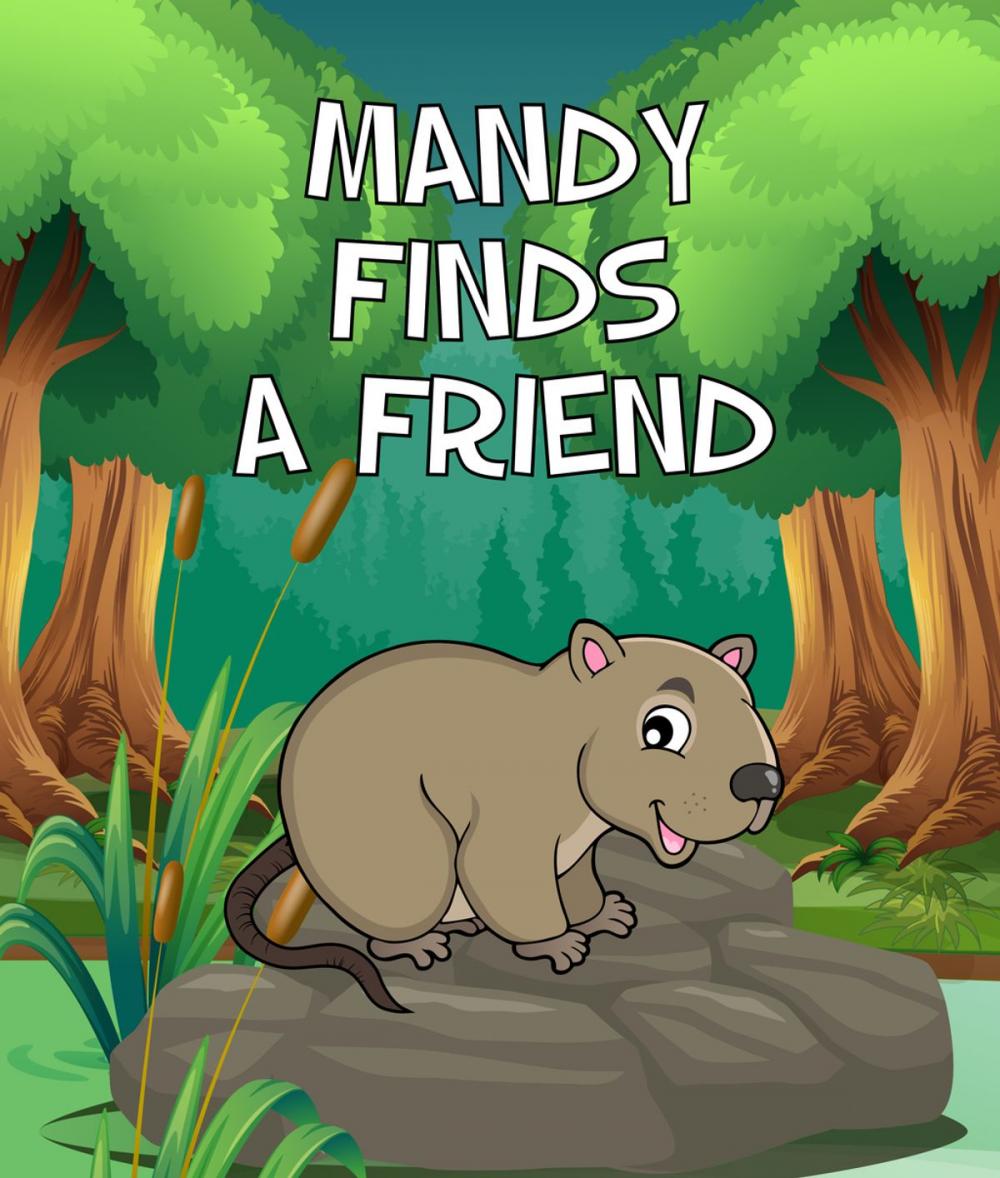 Big bigCover of Mandy Finds a Friend