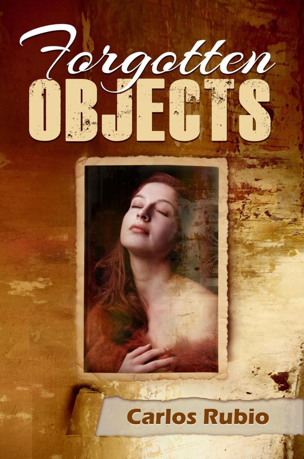 Big bigCover of Forgotten Objects