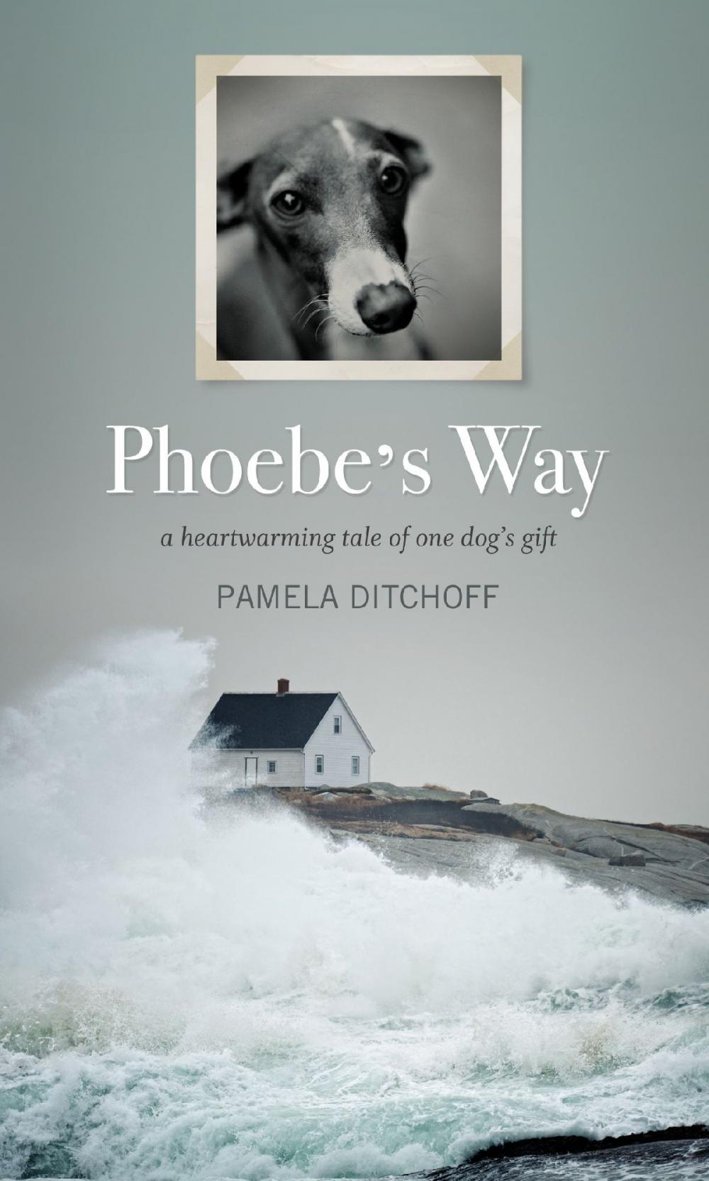 Big bigCover of Phoebe’s Way