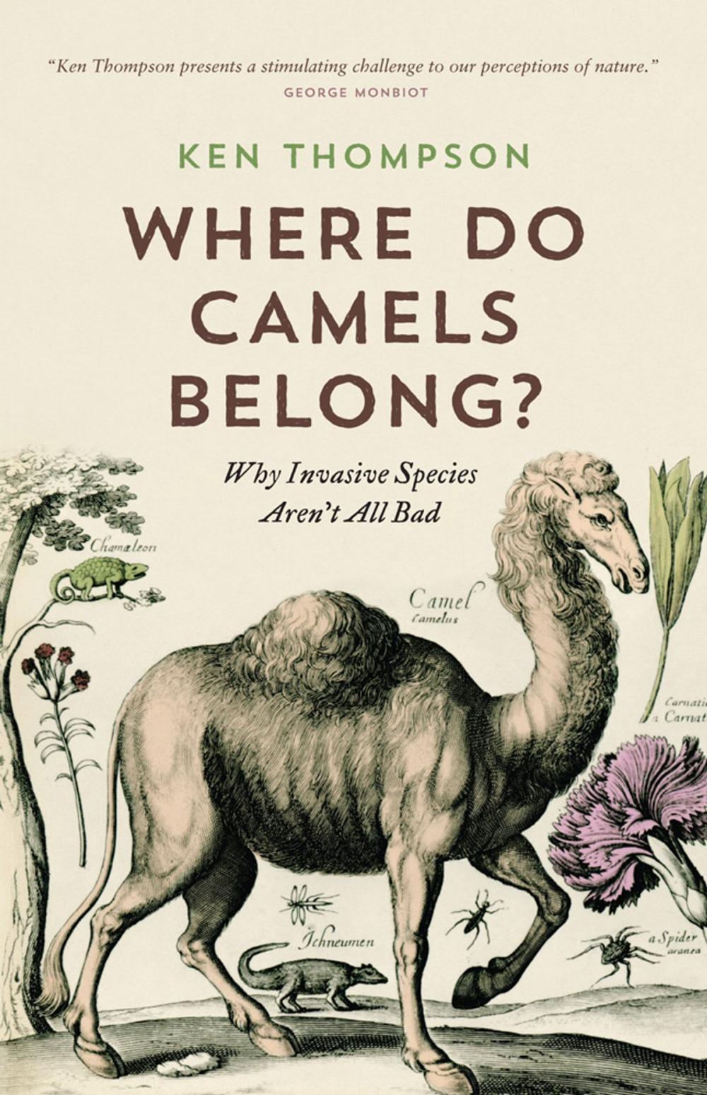 Big bigCover of Where Do Camels Belong?